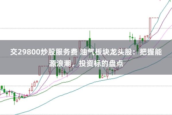 交29800炒股服务费 油气板块龙头股:把握能源浪潮,投资标的盘点
