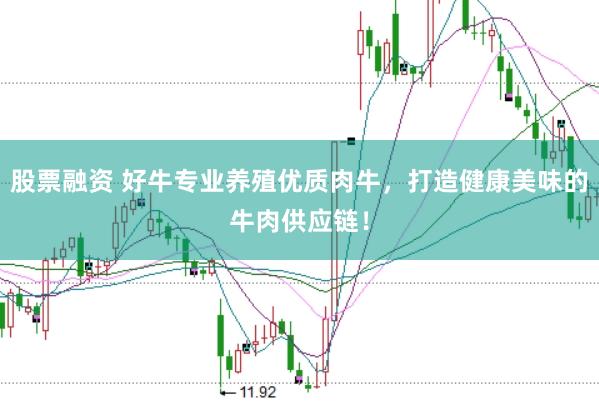 股票融资 好牛专业养殖优质肉牛，打造健康美味的牛肉供应链！